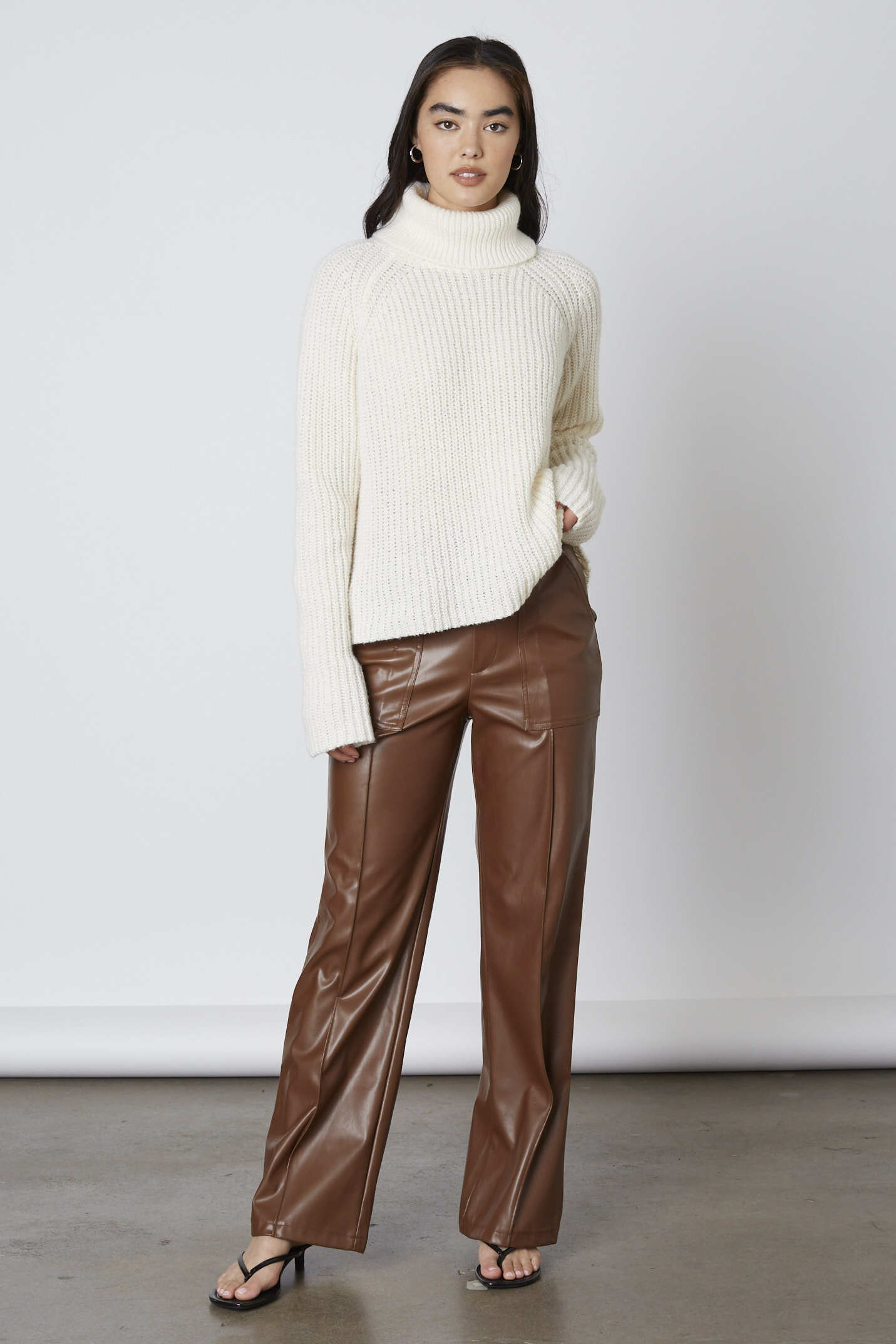 Faux Leather Pants in Brown Front View