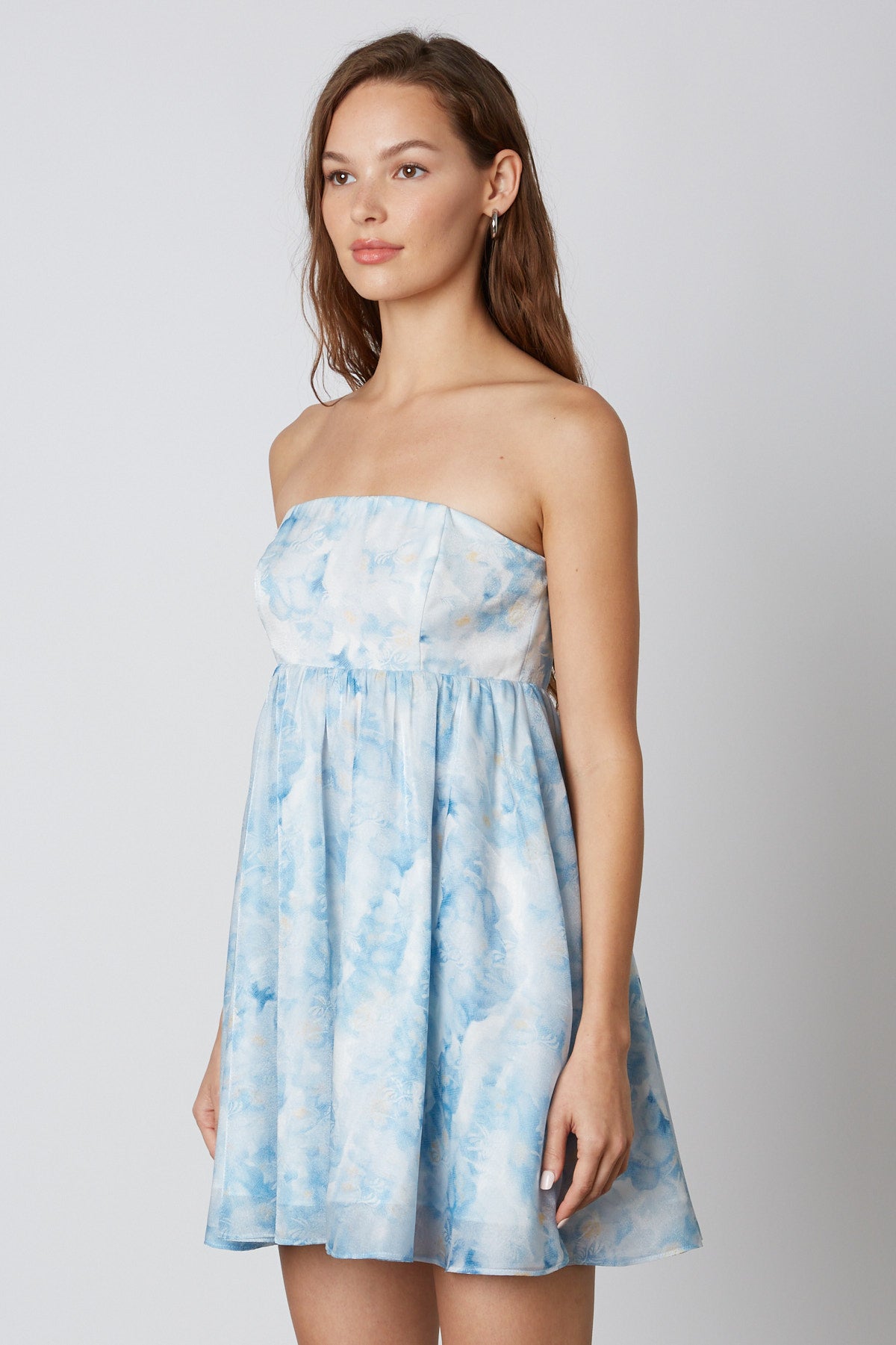 Printed Organza Dress in Blue Side