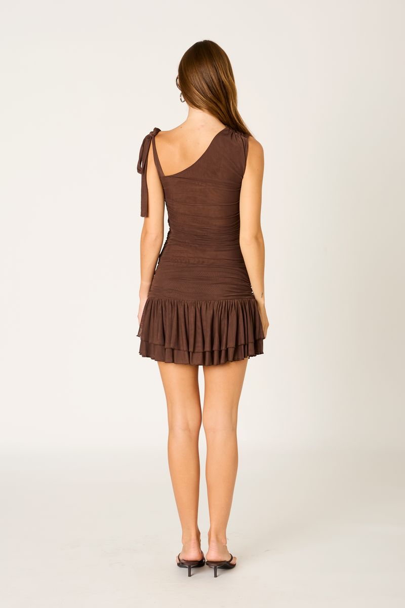 Mesh Mini Skirt in chocolate back view