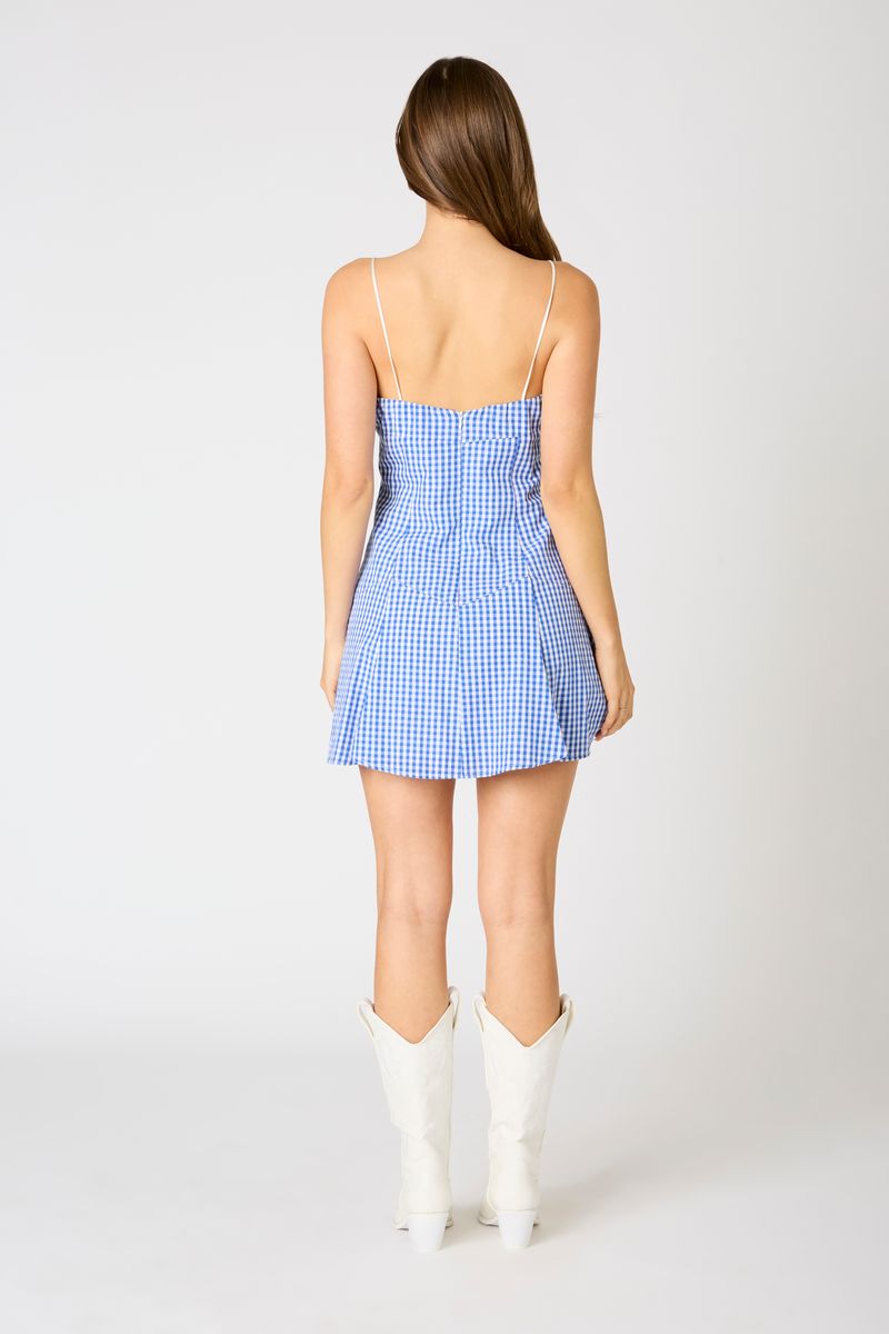 Milkmaid Gingham Mini Dress in blue back view