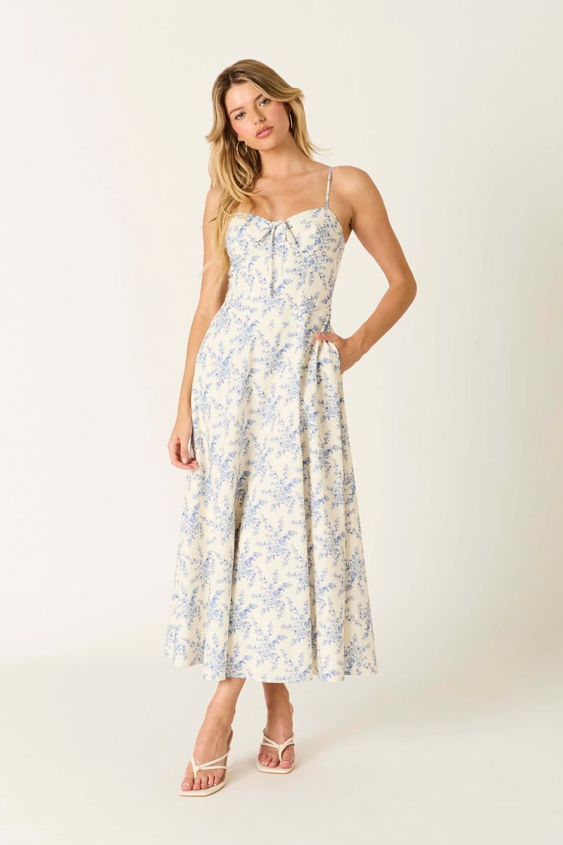 Vintage Toile Midi Dress in blue front view