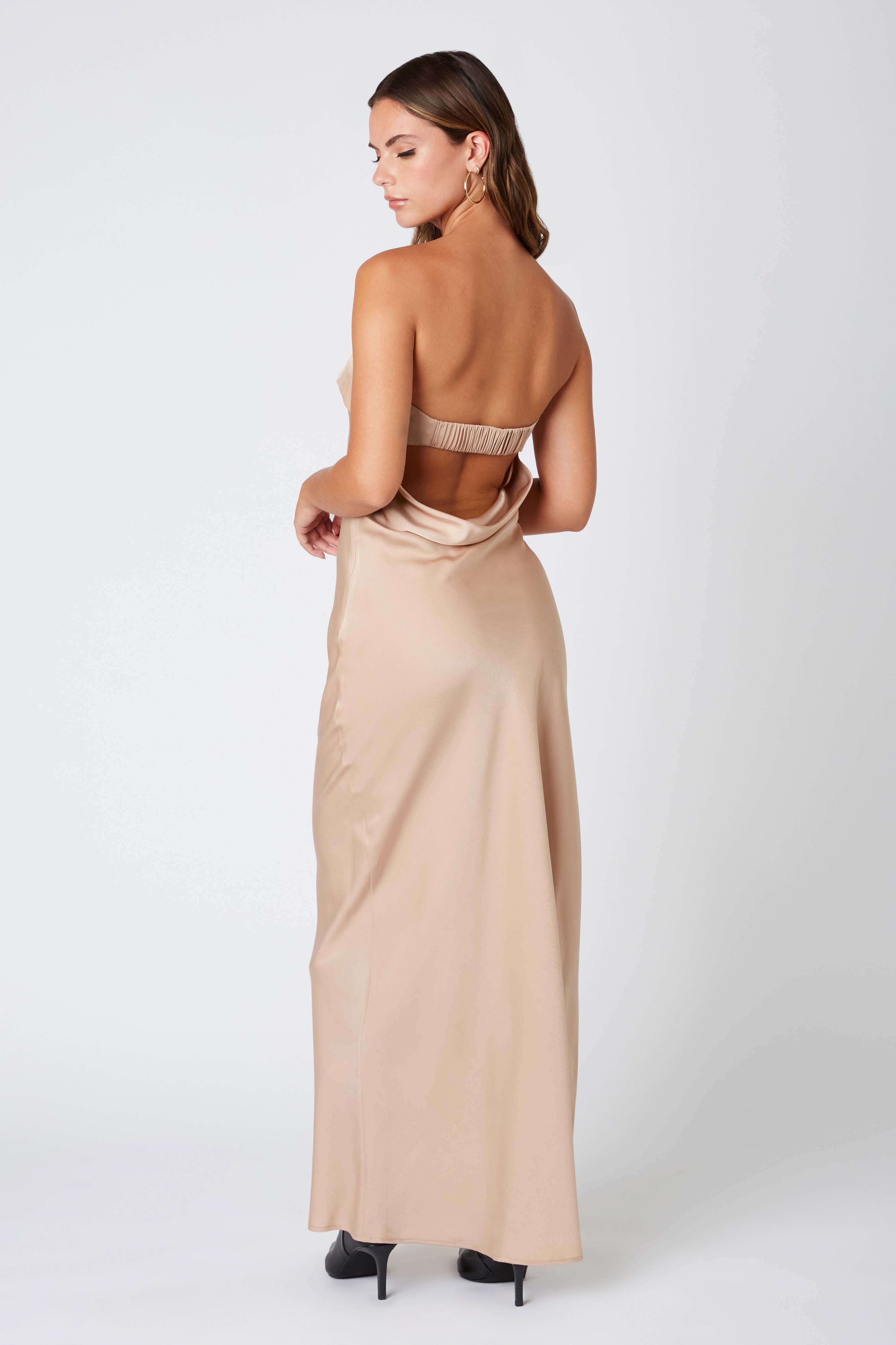Strapless Bias Gown in Almond Back View
