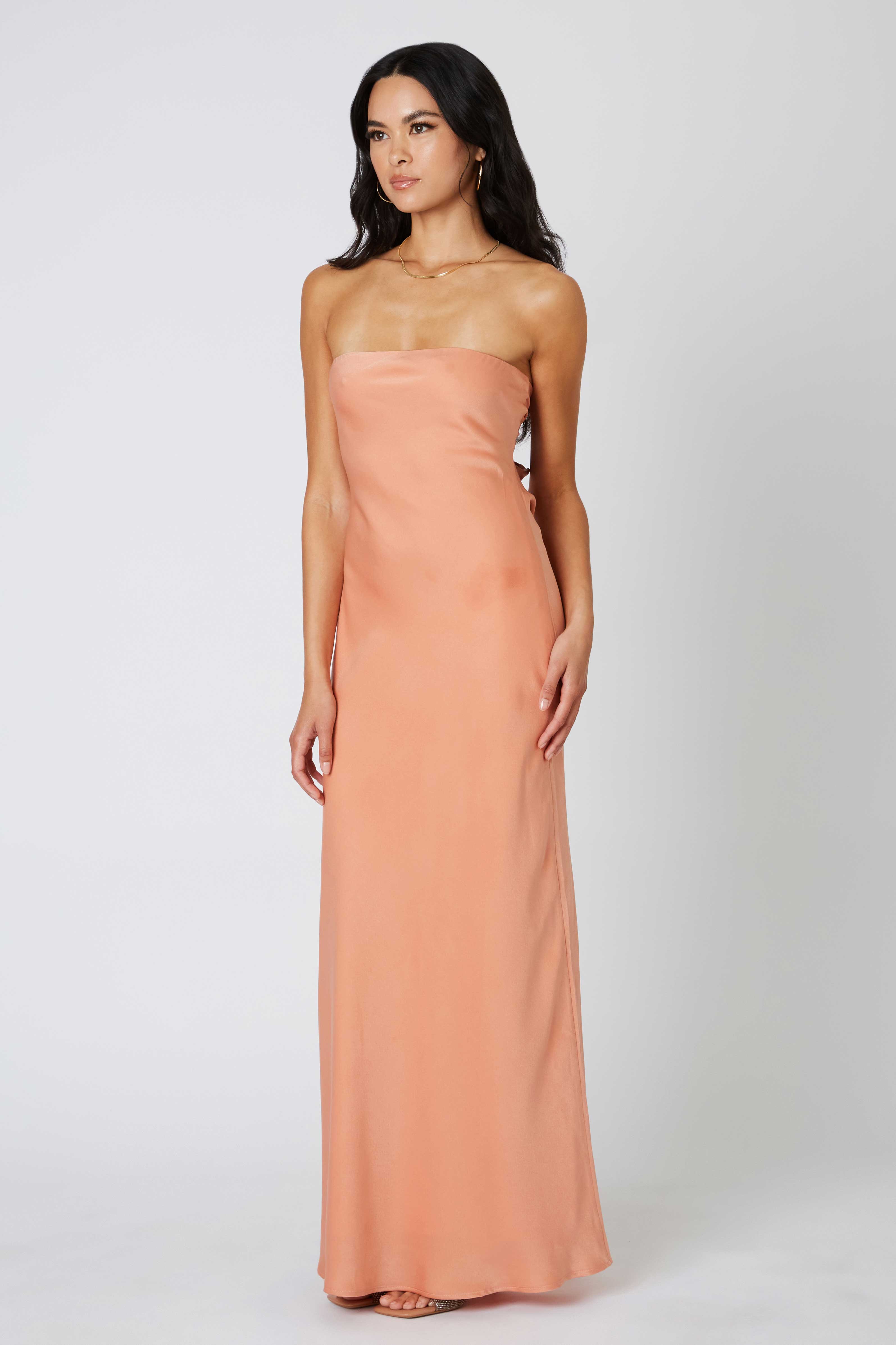 Tie-Back Strapless Maxi Dress in Canyon Side View