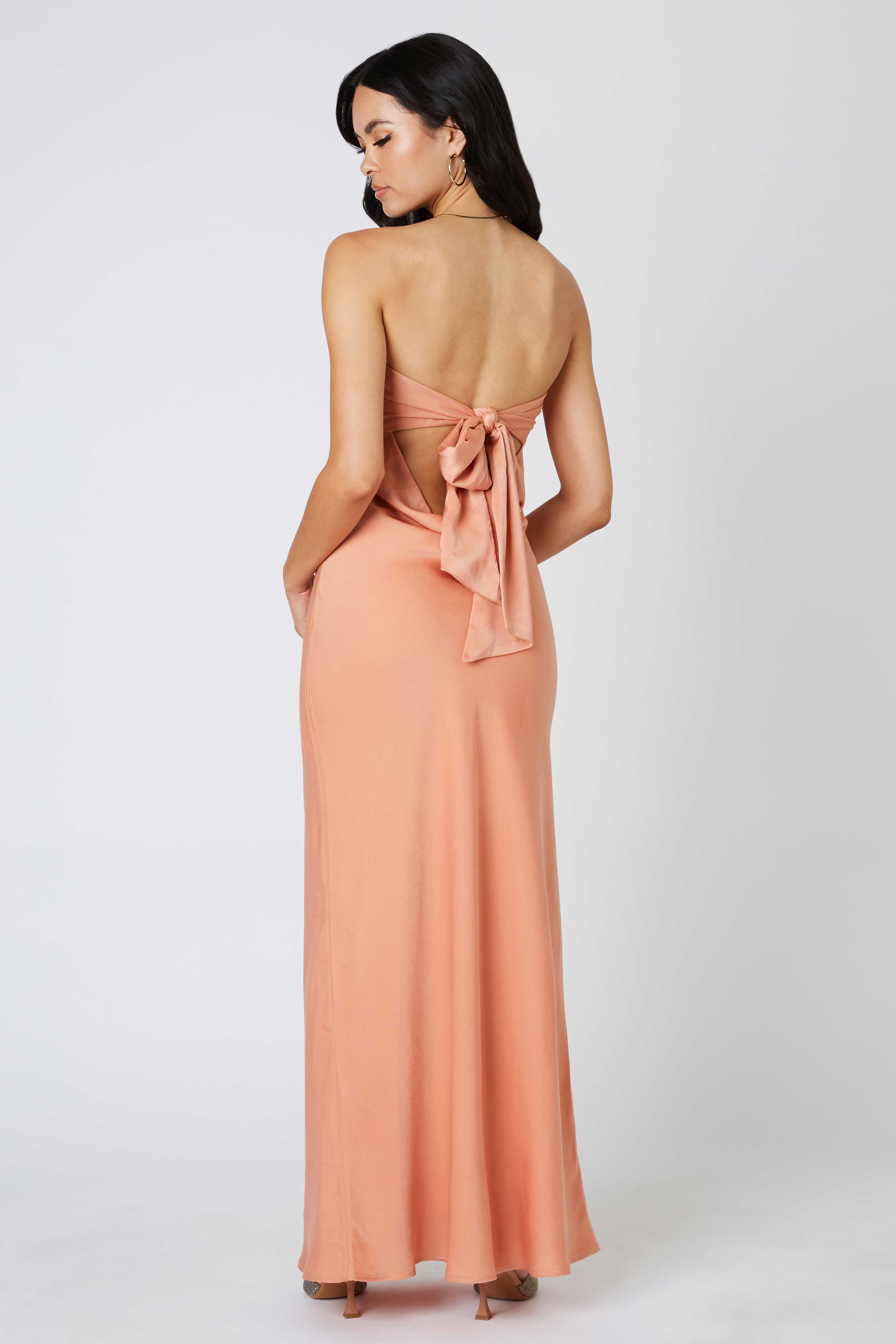 Tie-Back Strapless Maxi Dress in Canyon Back View