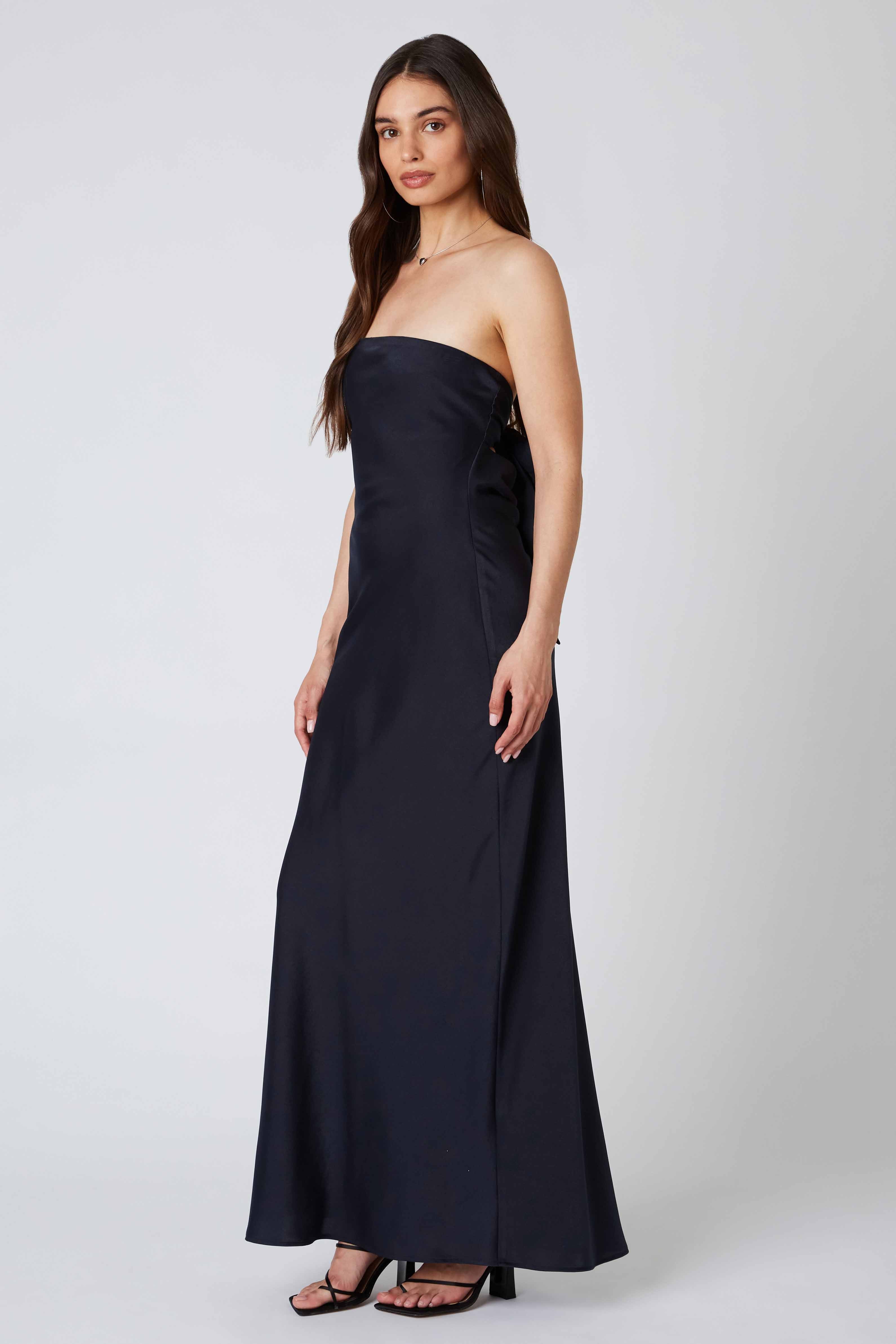 Tie-Back Strapless Maxi Dress in Ink Side View