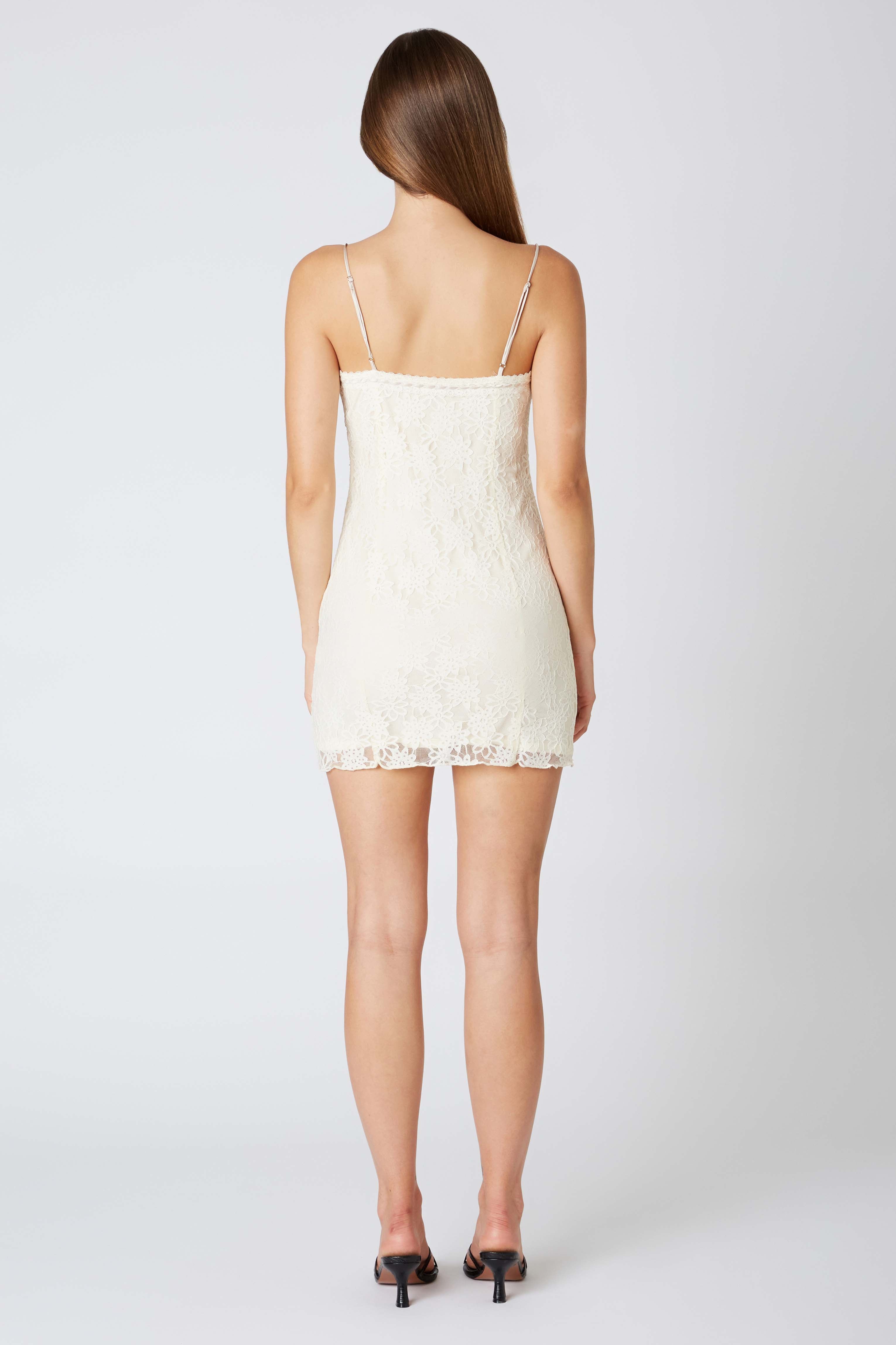 Lace Mini Dress Cotton Candy LA Lace Mini Dress Cotton Candy LA