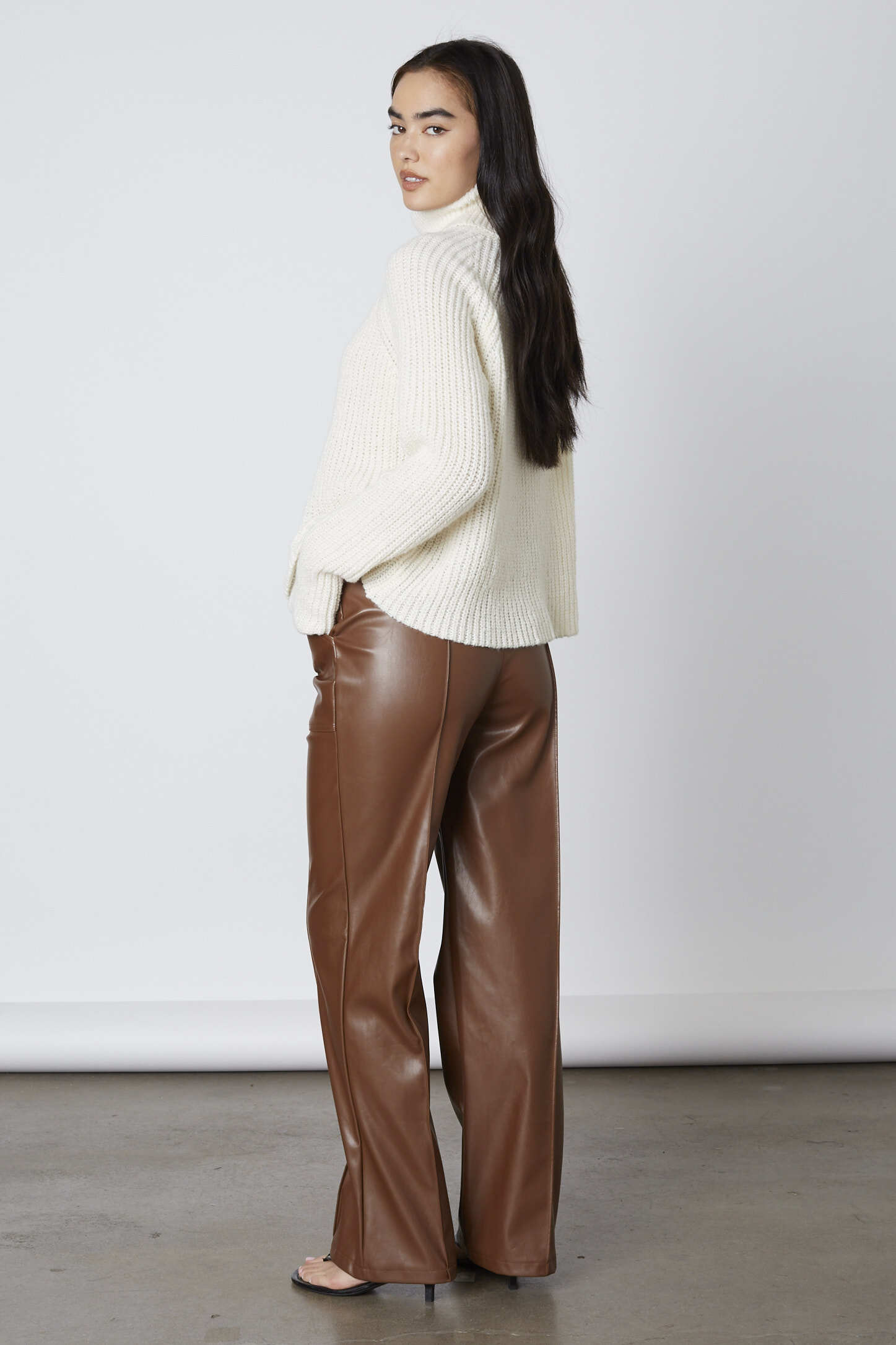 Faux Leather Pants in Brown Back View