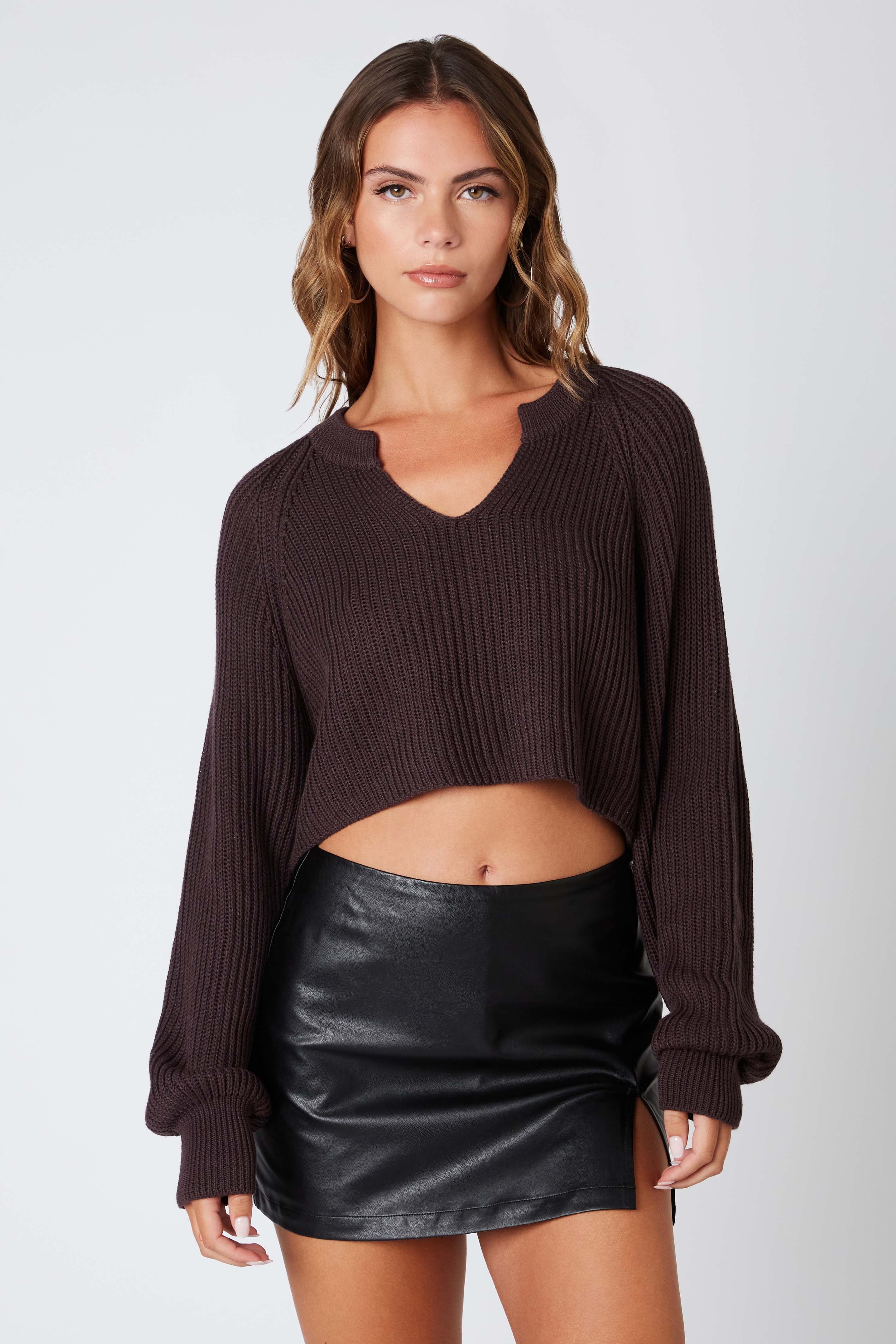 Notched Cropped Sweater in Espresso Front View