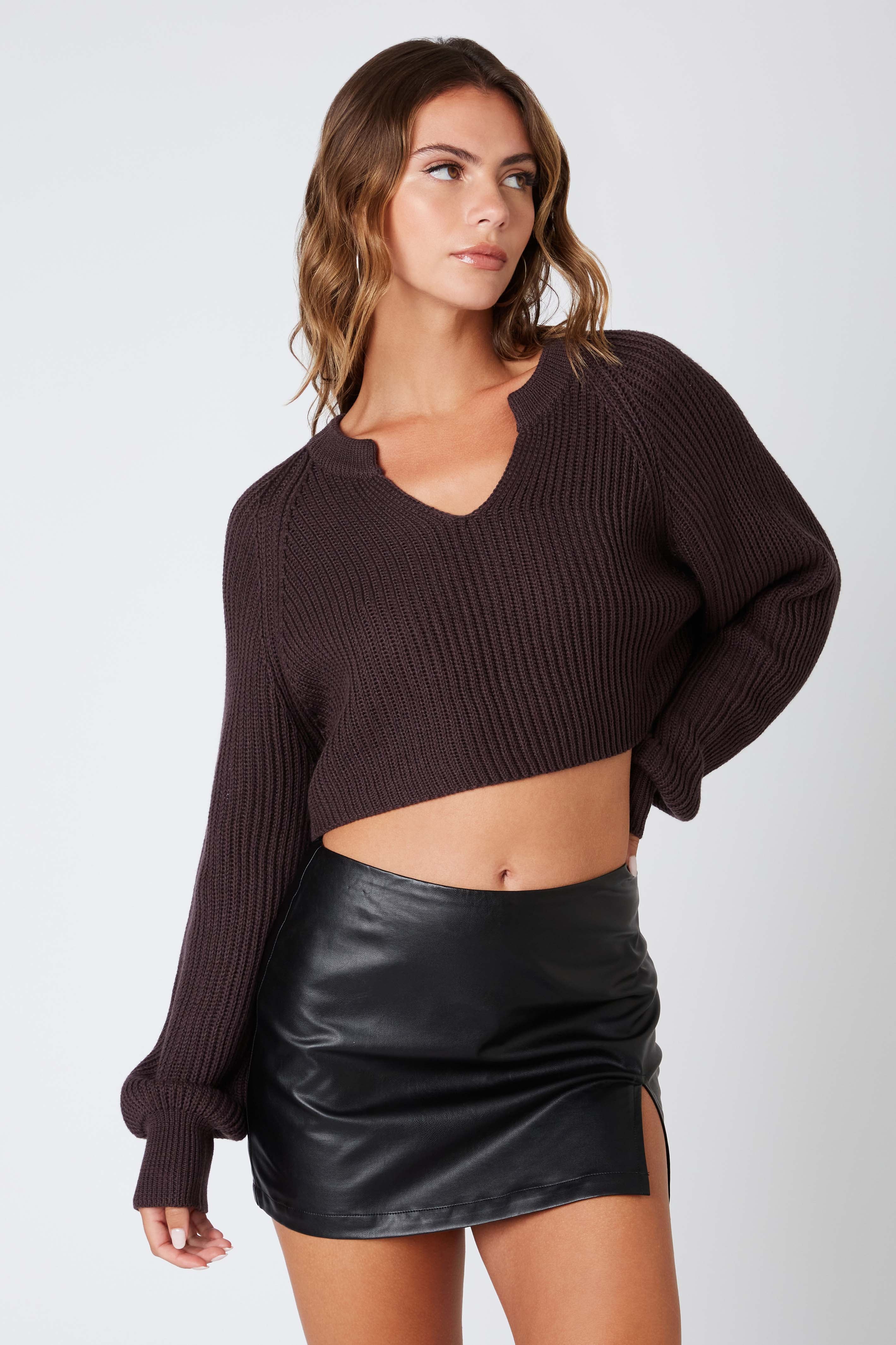 Notched Cropped Sweater in Espresso Front View