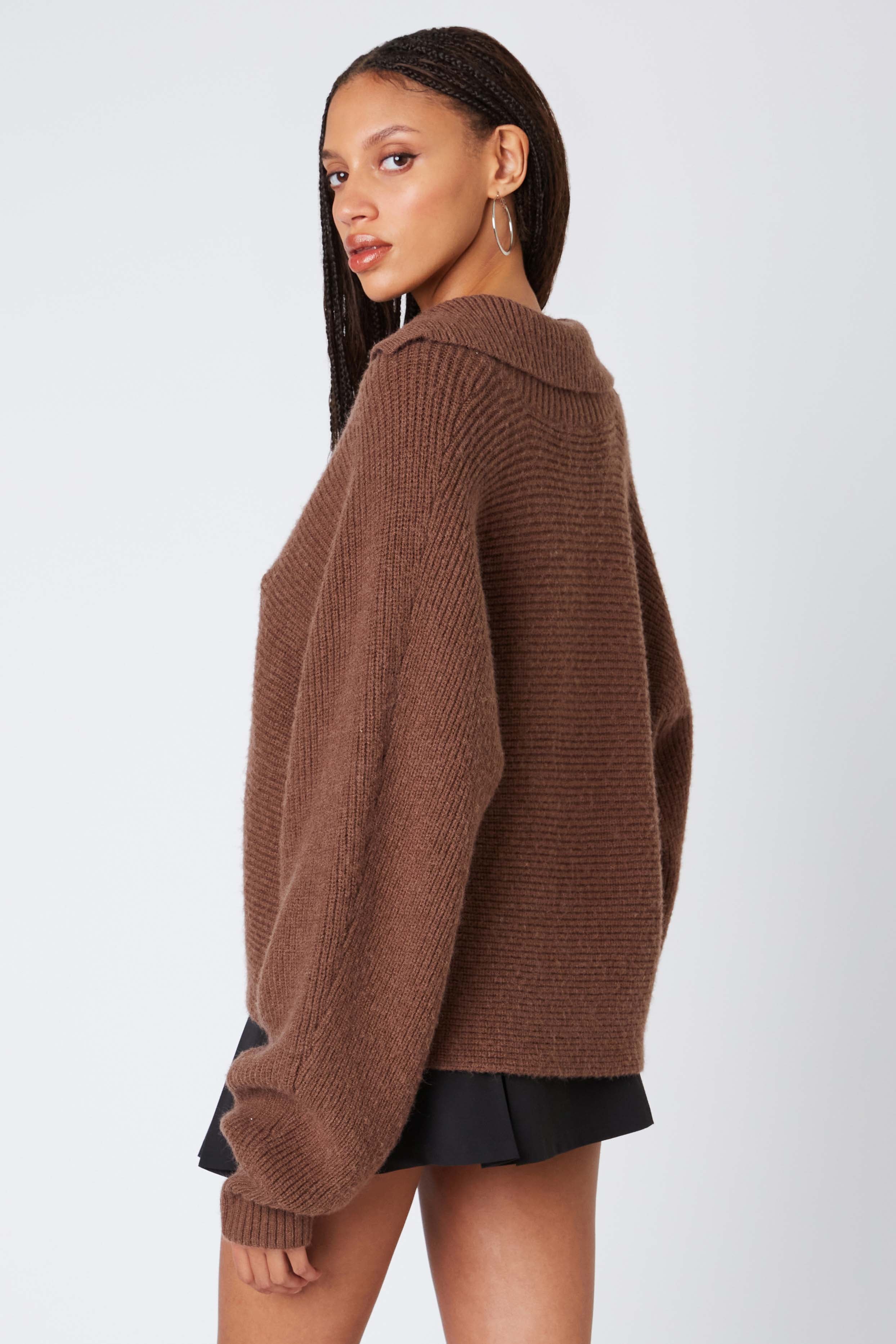 Oversized Polo Sweater in Cocoa Back View