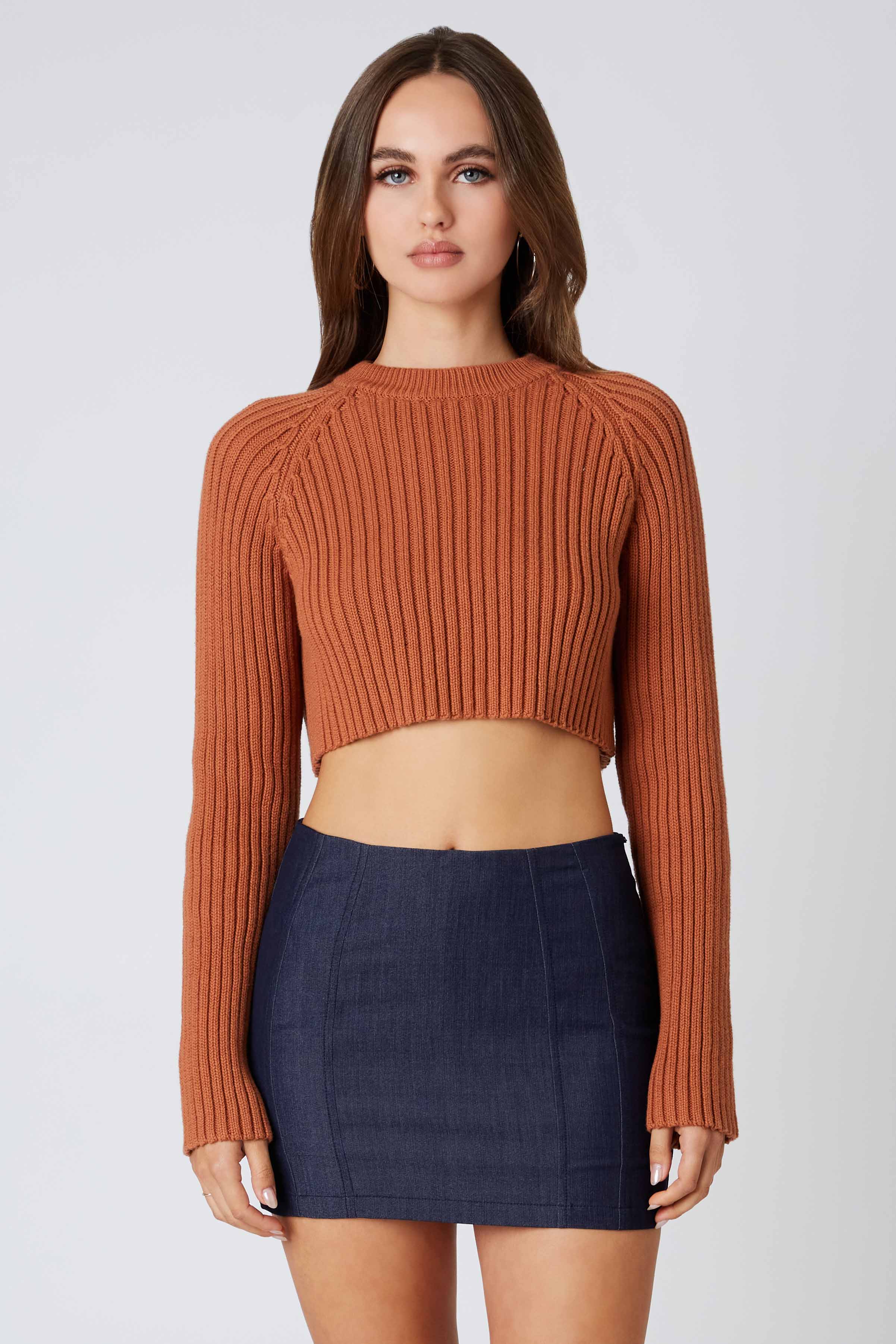 Knit Cropped Sweater Top in Rust Front View