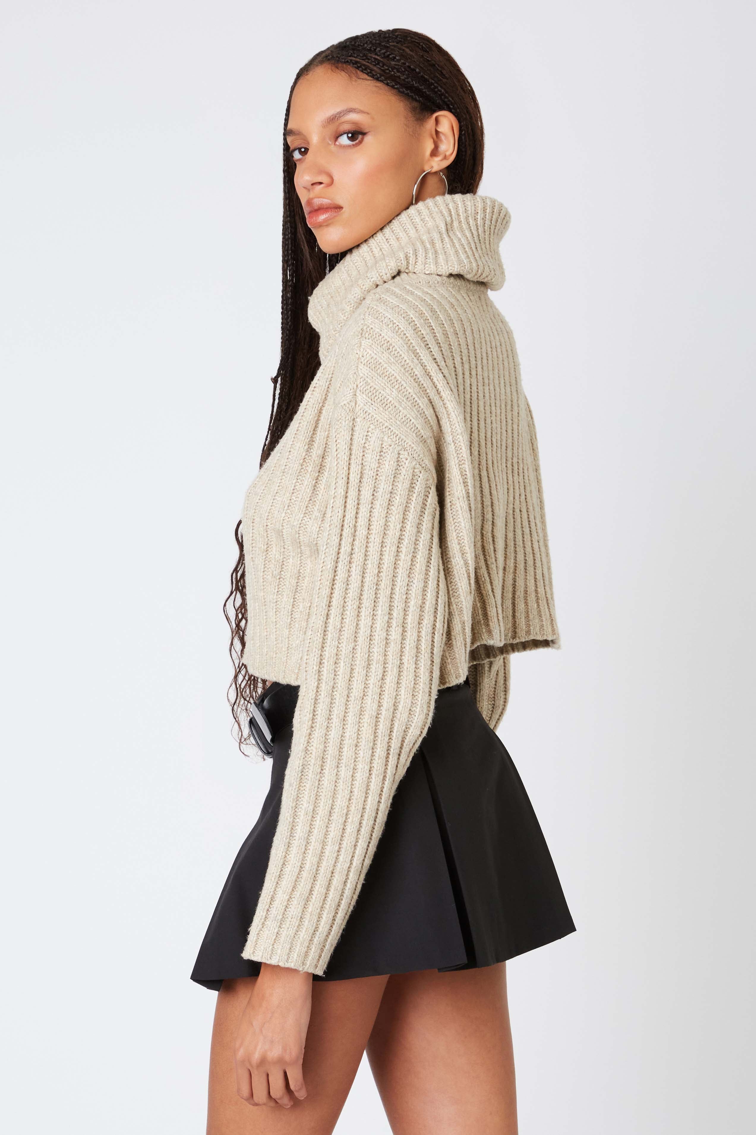 Cropped Turtleneck Sweater in Flax Back View