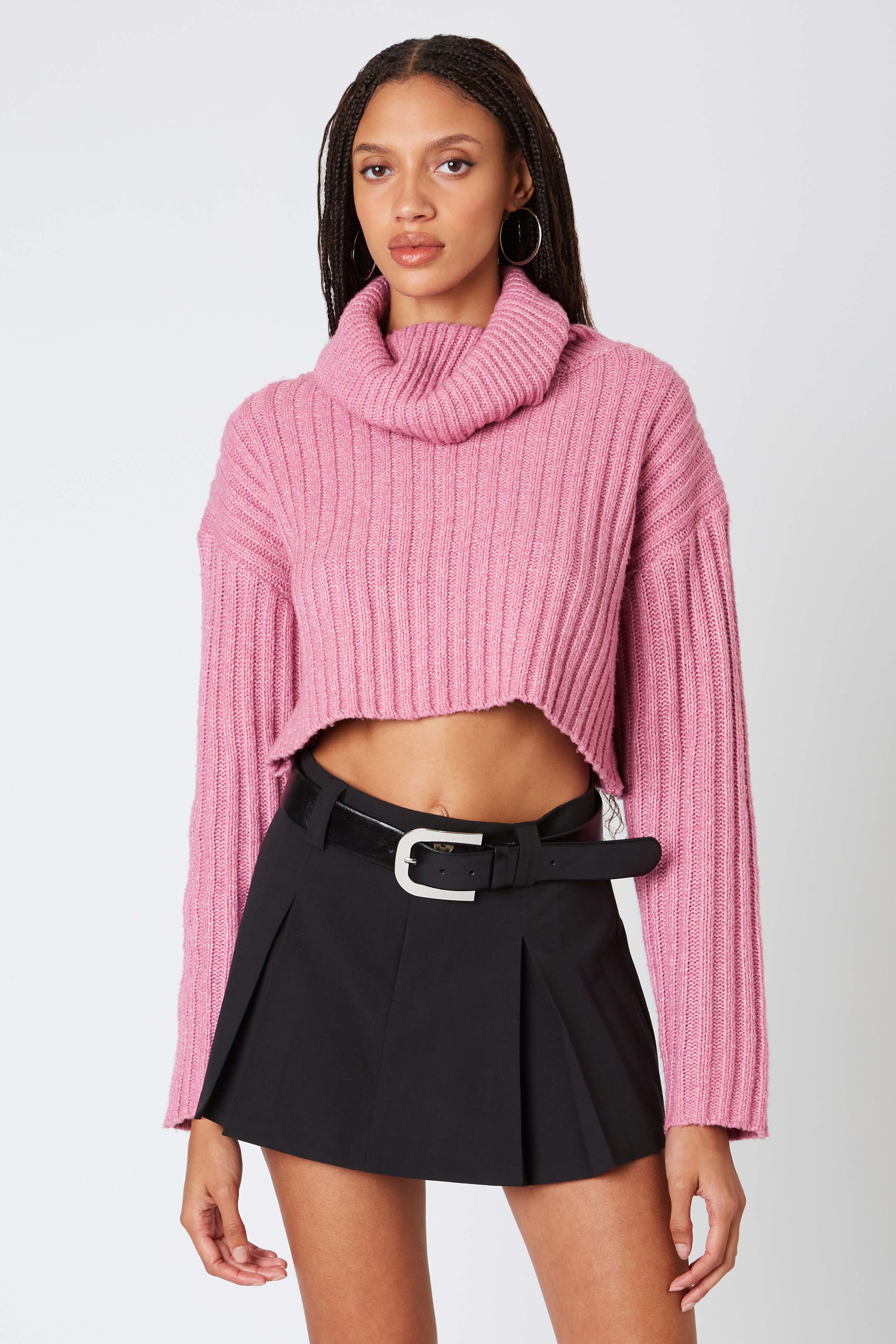 Cropped Turtleneck Sweater in Mauve Front View