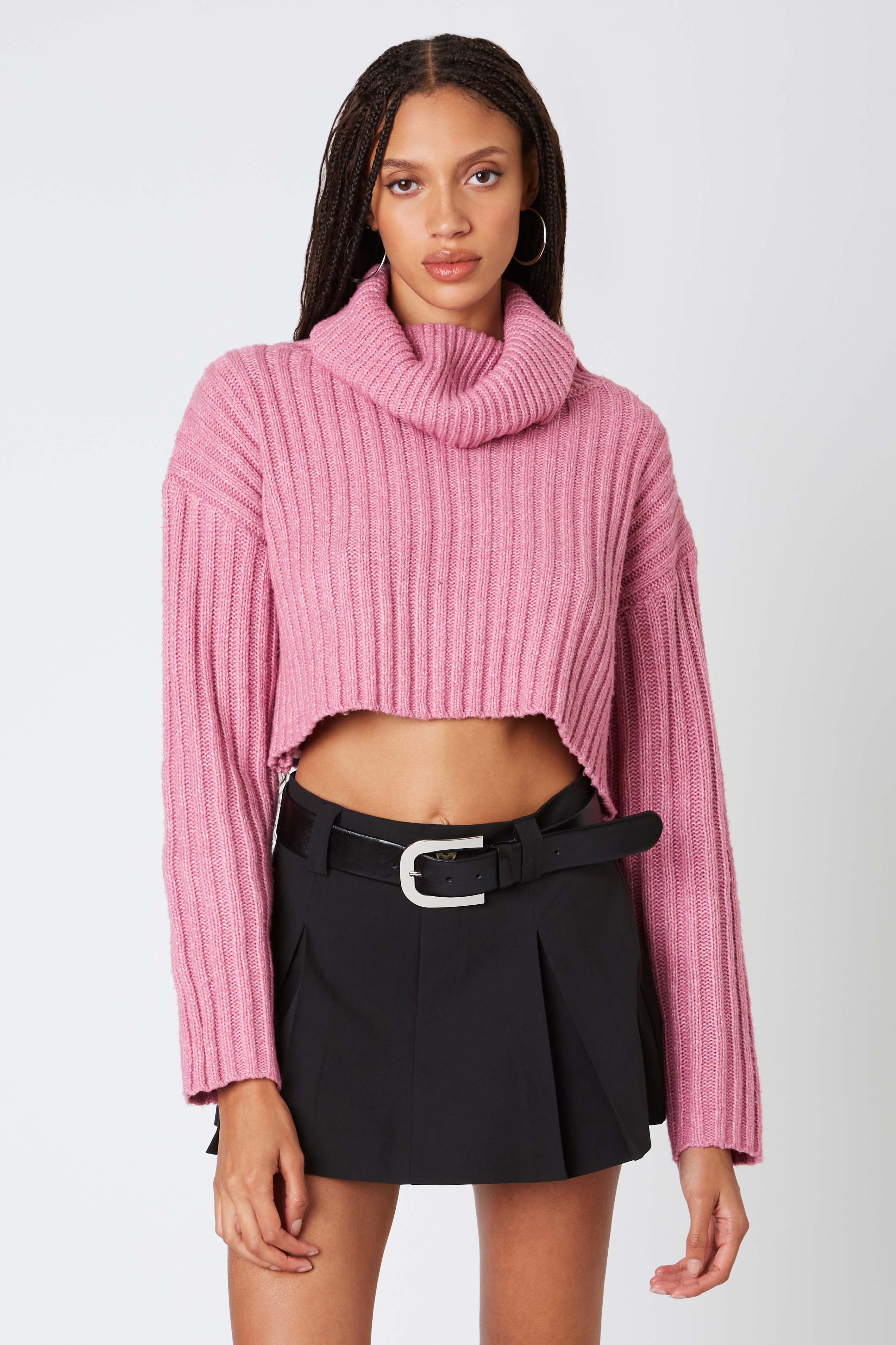 Cropped Turtleneck Sweater in Mauve Front View