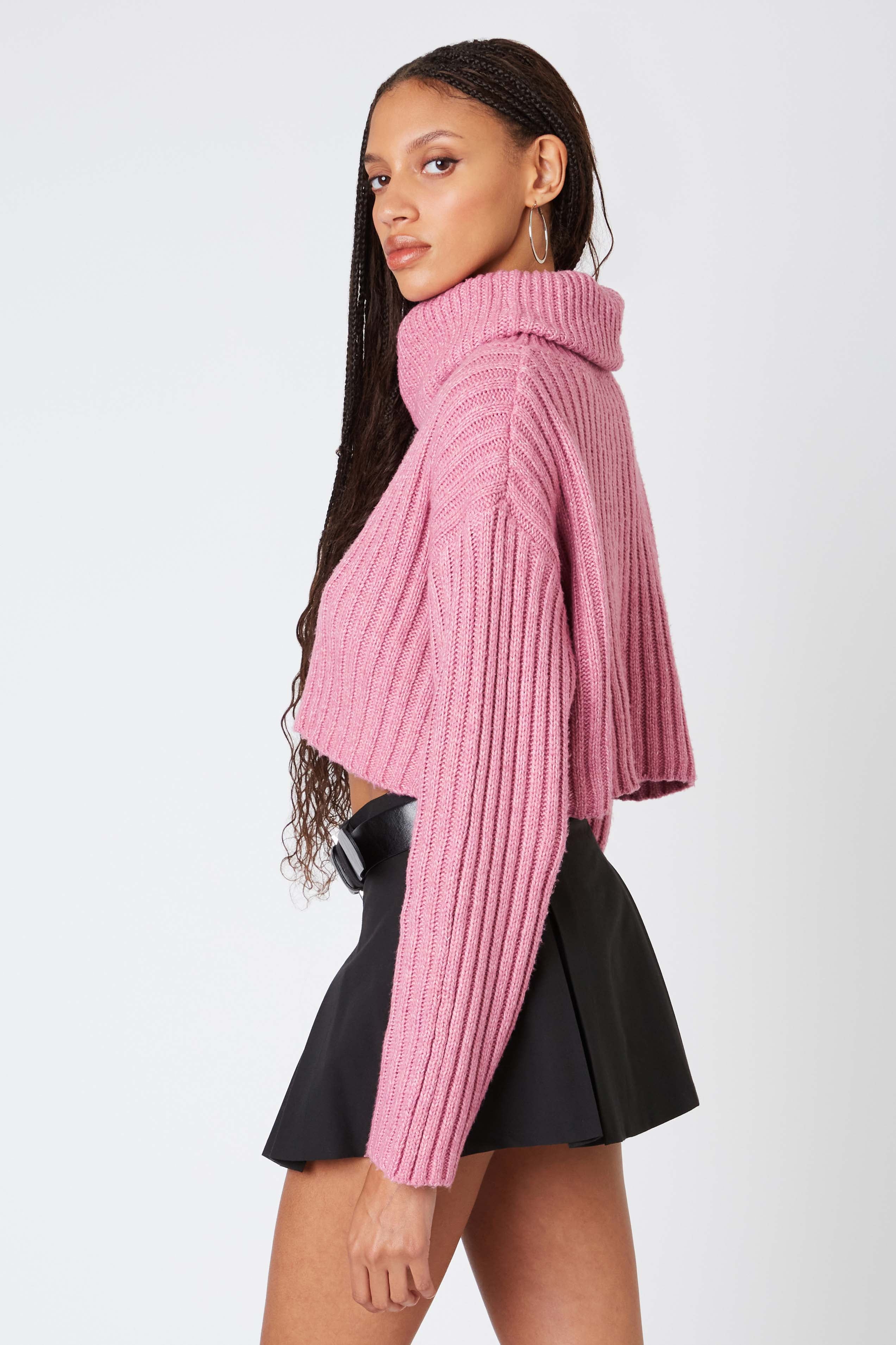 Cropped Turtleneck Sweater in Mauve Back View