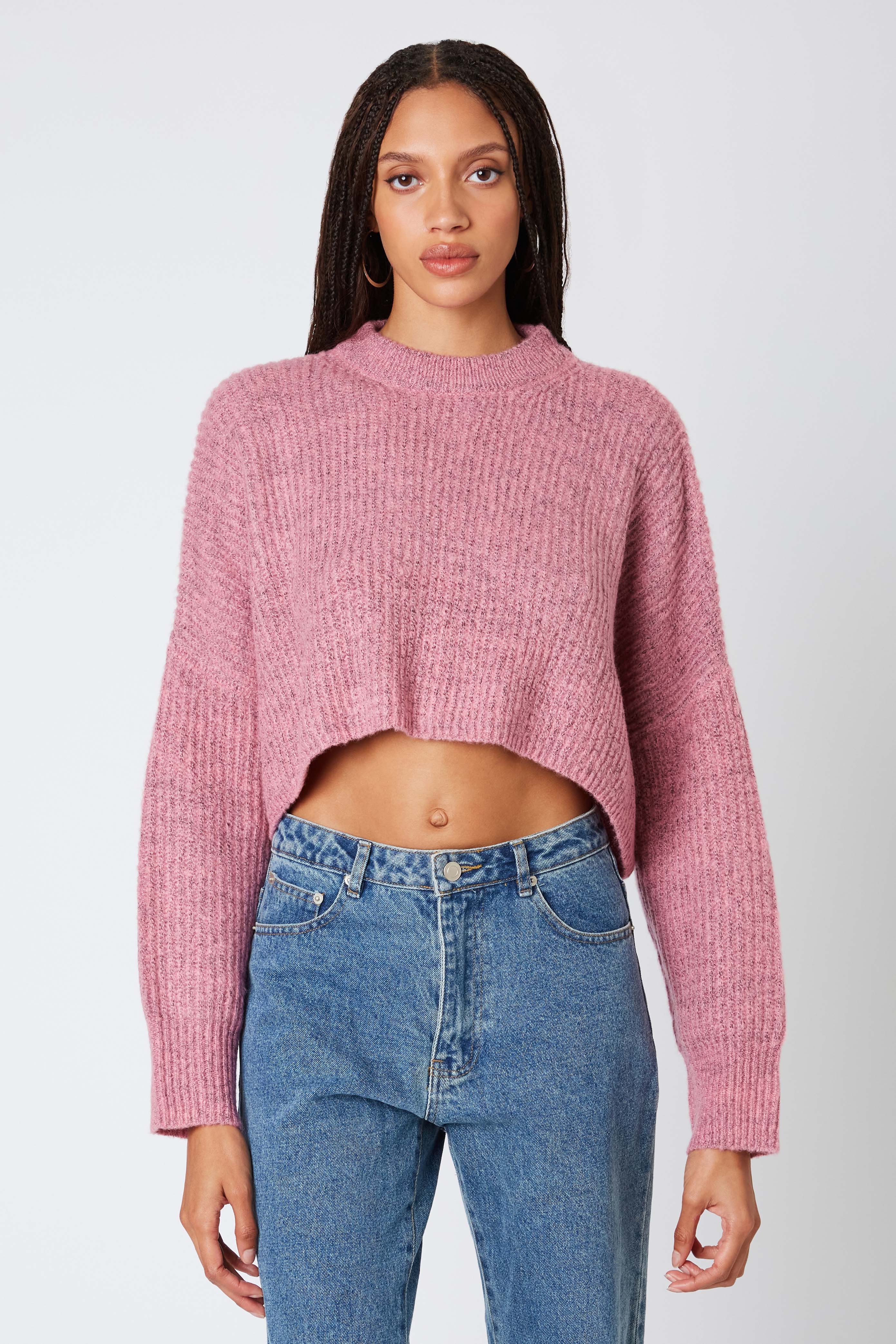 Cropped Mockneck Sweater in Pink Front View