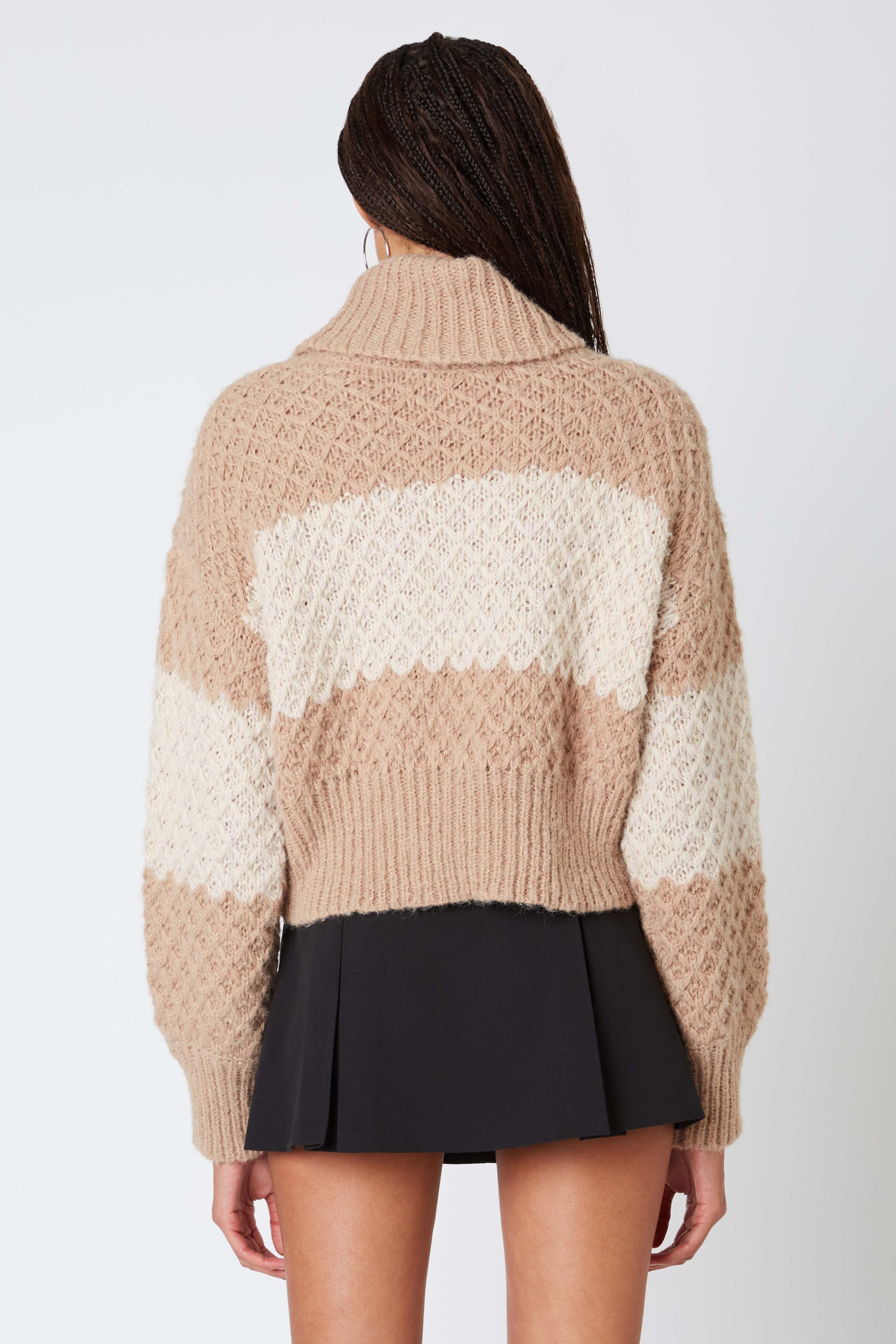 Turtleneck Pullover Sweater in Tan Back View