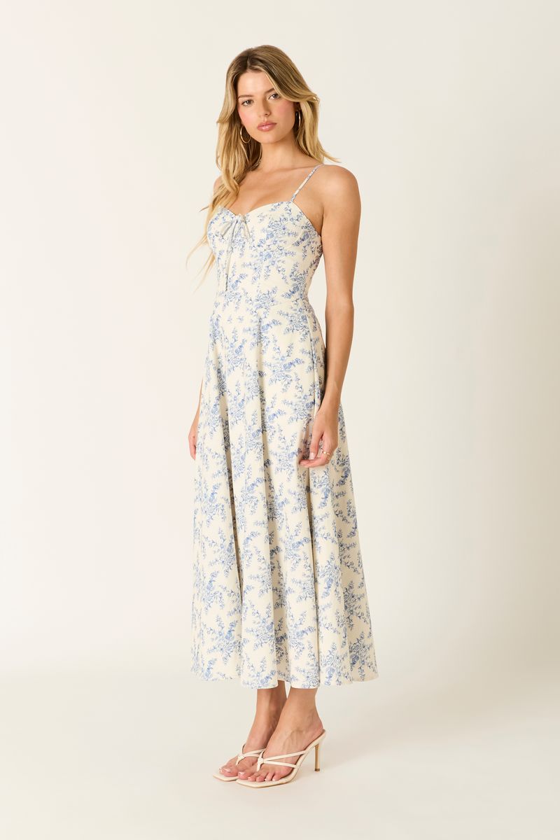 Vintage Toile Midi Dress in blue side view