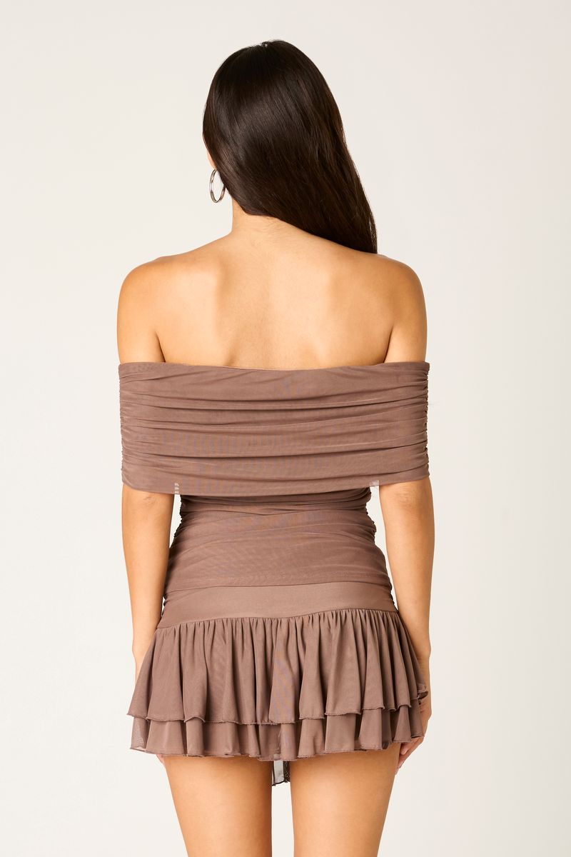 Off Shoulder Mesh Top in mocha back view