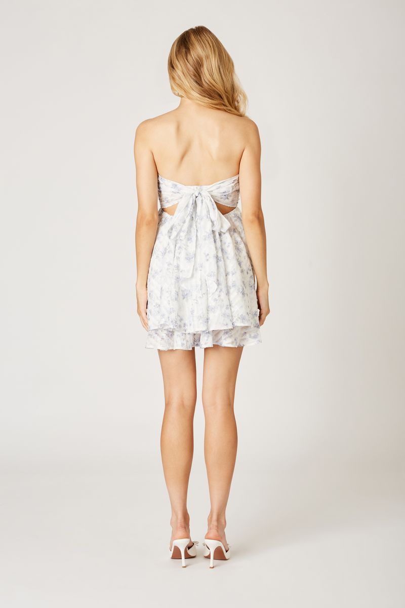 Organza Double Layered Mini Dress in blue back view
