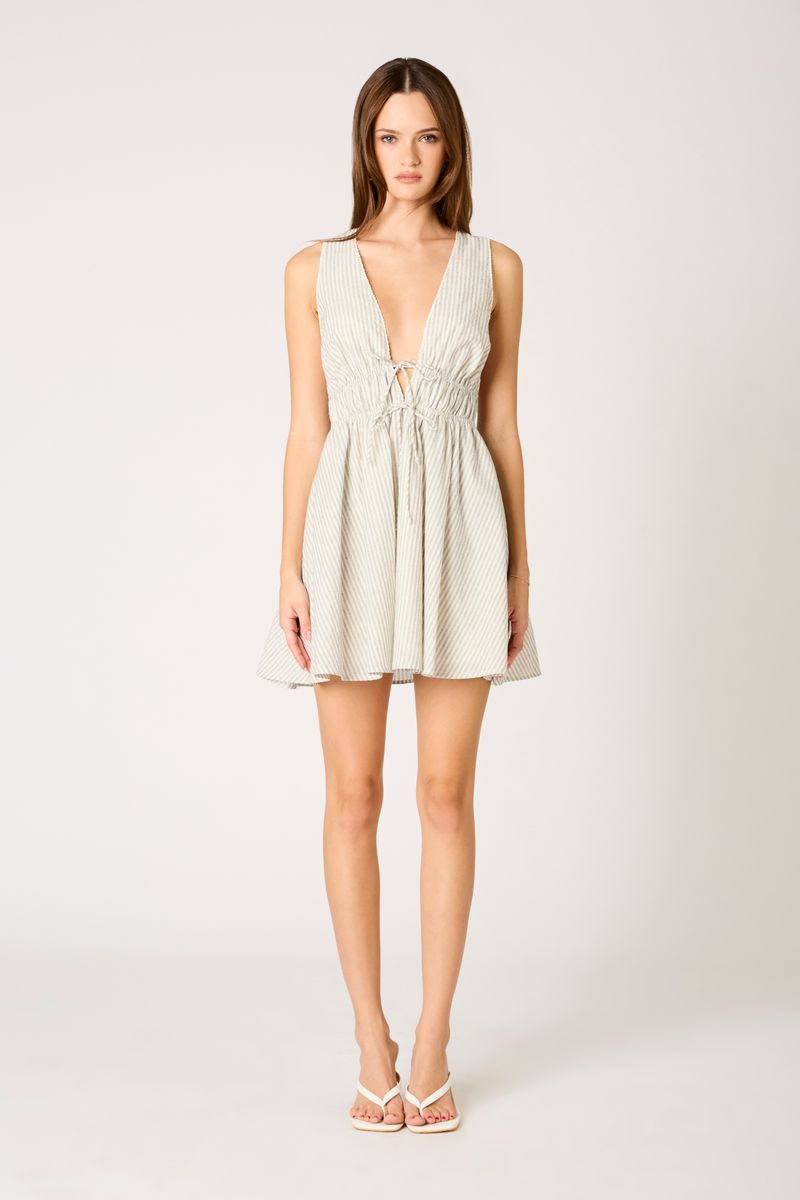 Striped Mini Dress in black front view