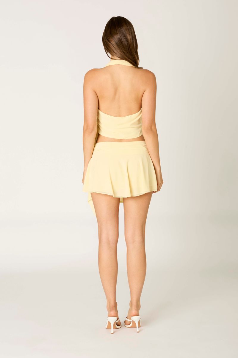 Chiffon Skirt Set in butter back view