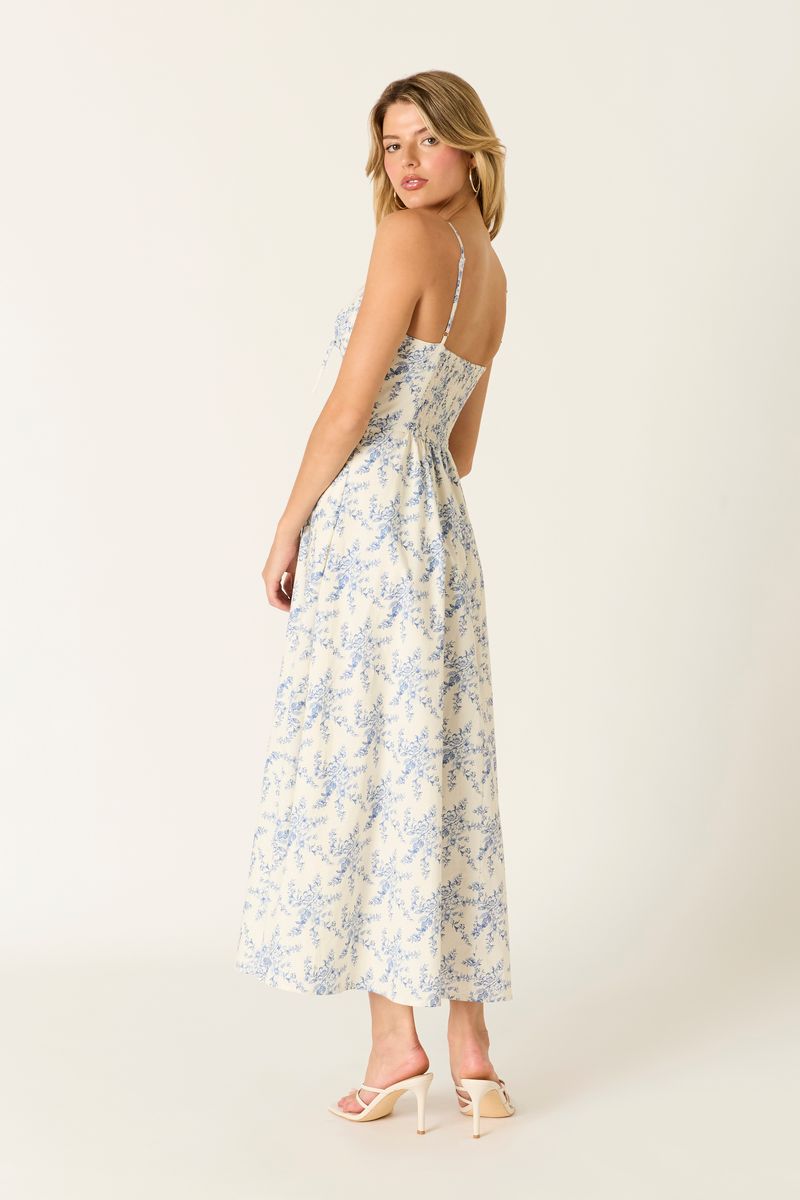 Vintage Toile Midi Dress in blue back side view
