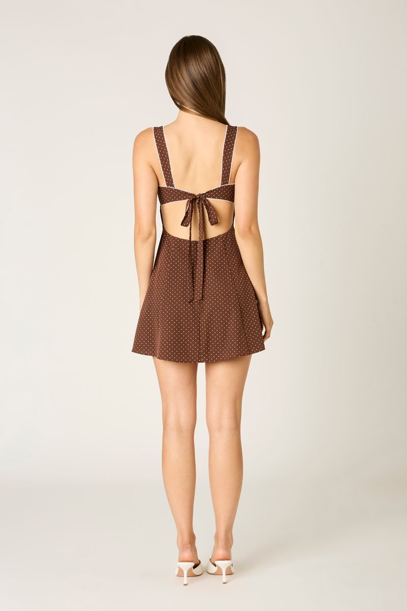 Dotted A-line Mini Dress in chocolate back view