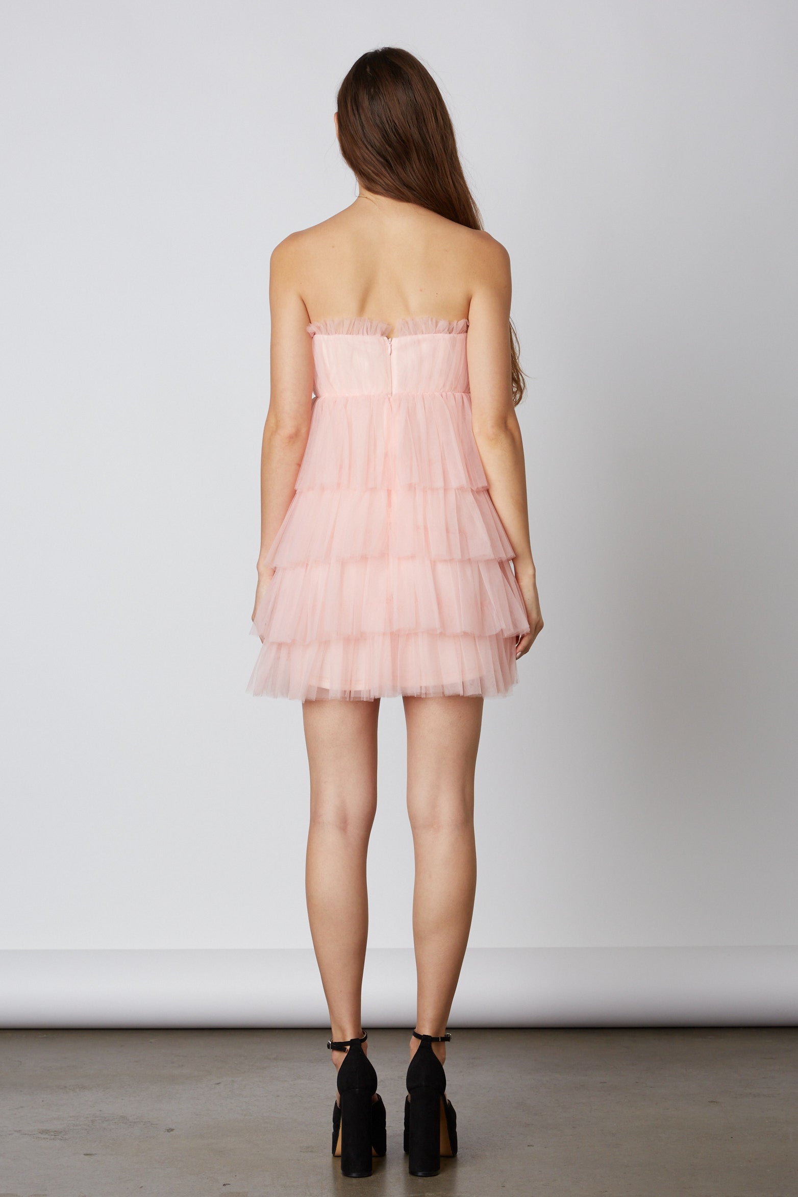 Blush Tulle Mini Dress Back 2